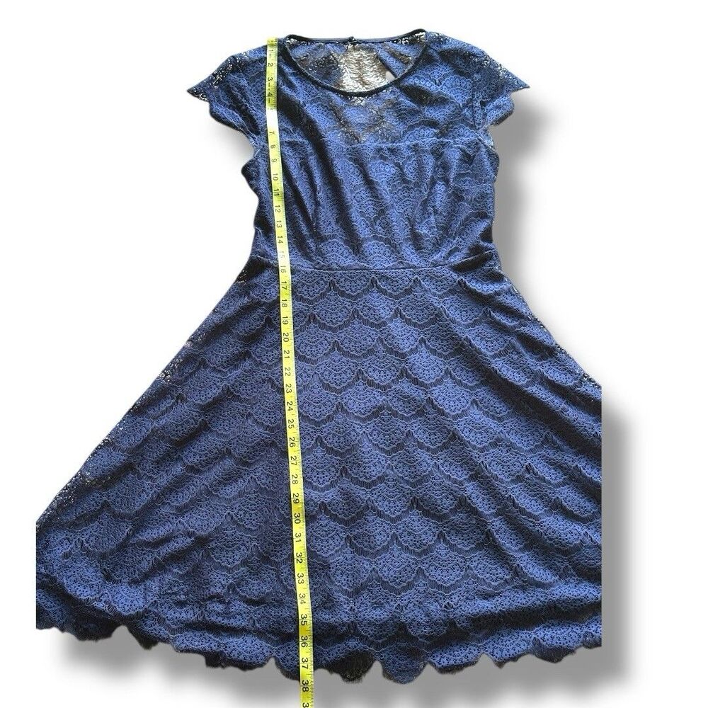 Kensie  Navy Blue Scalloped Lace Dress Size 6 Natural Waist - Picture 9 of 10